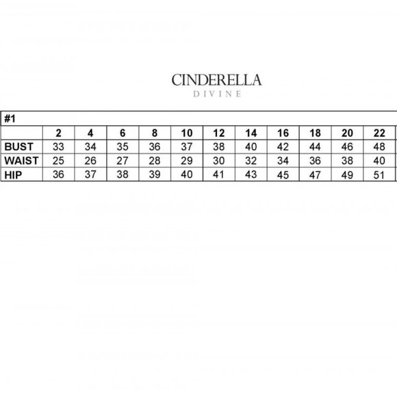 NEW LONG OFF SHOULDER SLEEVELESS EMBROIDERED SEQUIN GOWN WITH ZIP BACK CD J810 - Picture 2 of 6